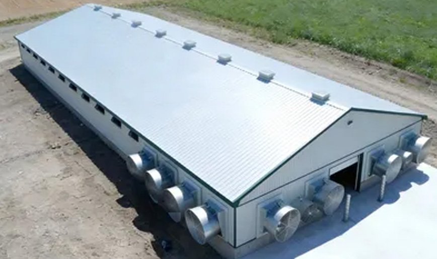 Modern Poultry Shed made by Sandwich Panel